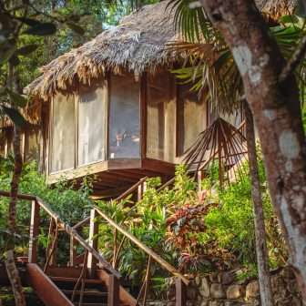 Thatched-roof cabana elevated on wooden stilts, surrounded by rainforest foliage and palm fronds, with a staircase leading up through the jungle.